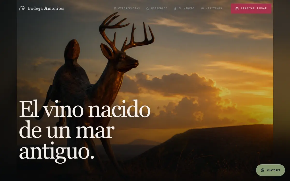 Sitio de Bodega Amonites construido por Sarape Web Studio
