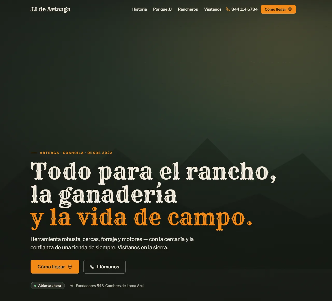Captura del sitio JJ de Arteaga
